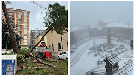 Ancora venti di burrasca e neve a 500 metri sulle Marche: prorogata di altre 24 ore (tutta la vigilia di Natale) l'allerta meteo gialla