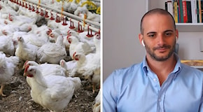 Influenza aviaria, verso una nuova pandemia? L’intervista al virologo Giacomo Gorini